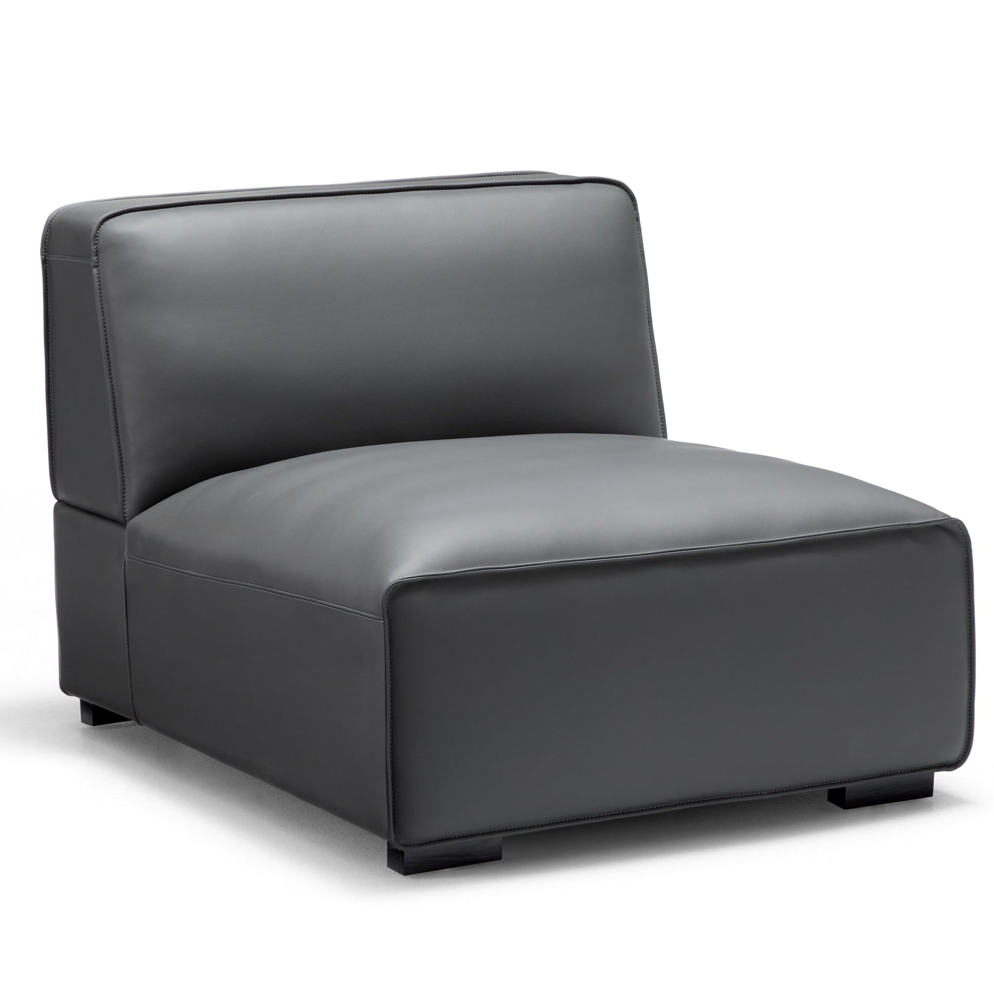 Domus Modular Dark Gray Leather Sofa and Ottoman-Dark Gray