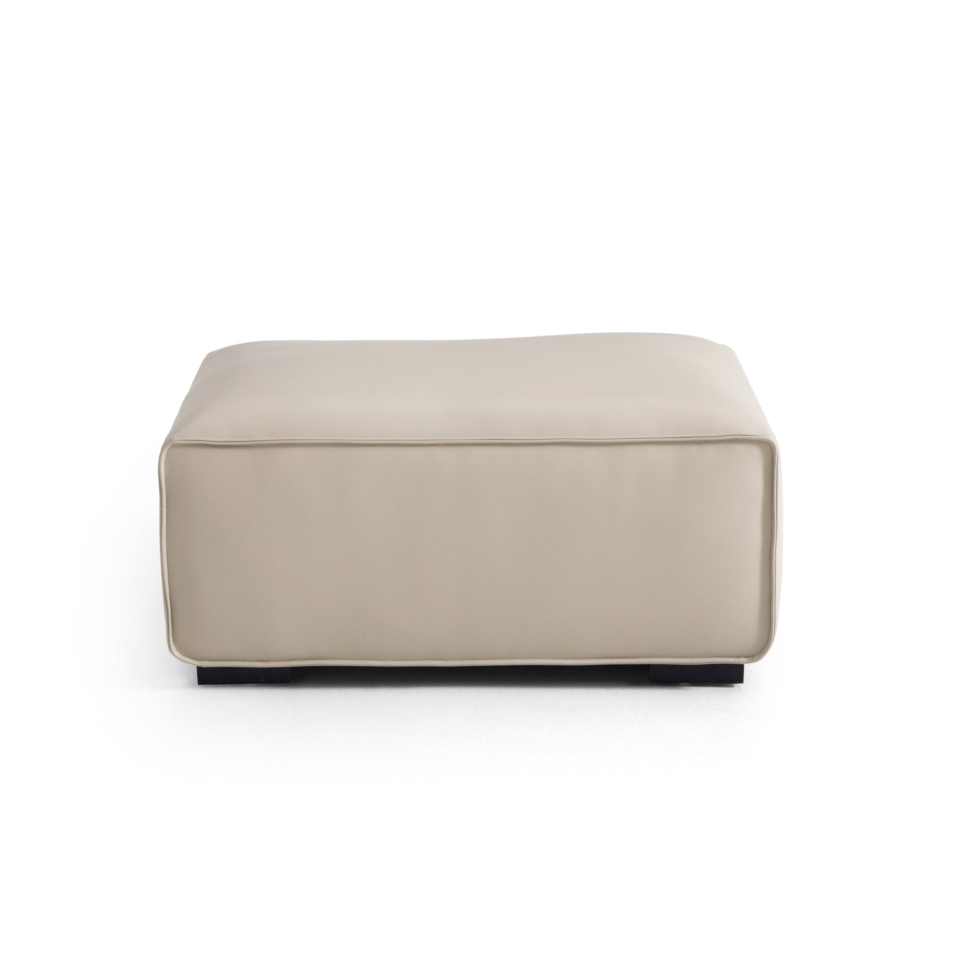Domus Modular Dark Gray Leather Sofa and Ottoman-Beige