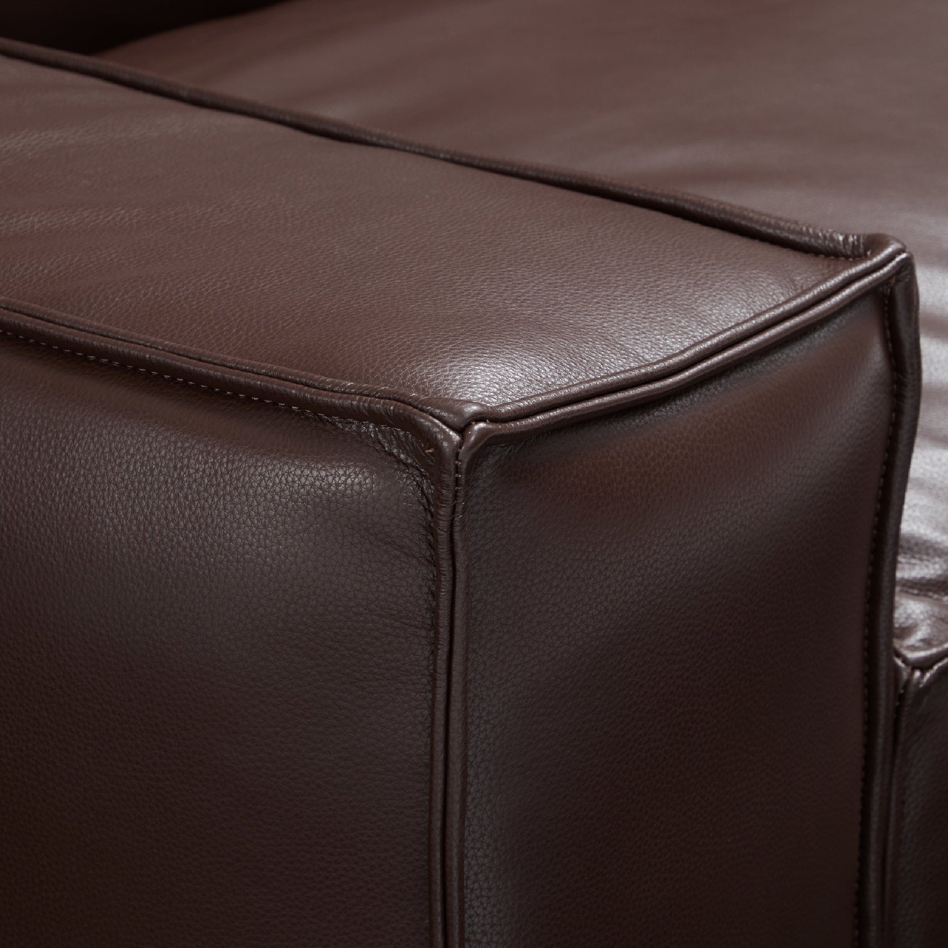 Luxury Minimalist Black Leather Daybed Sofa-Dark Brown